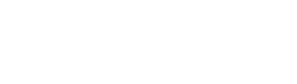 14 visual transparent logo